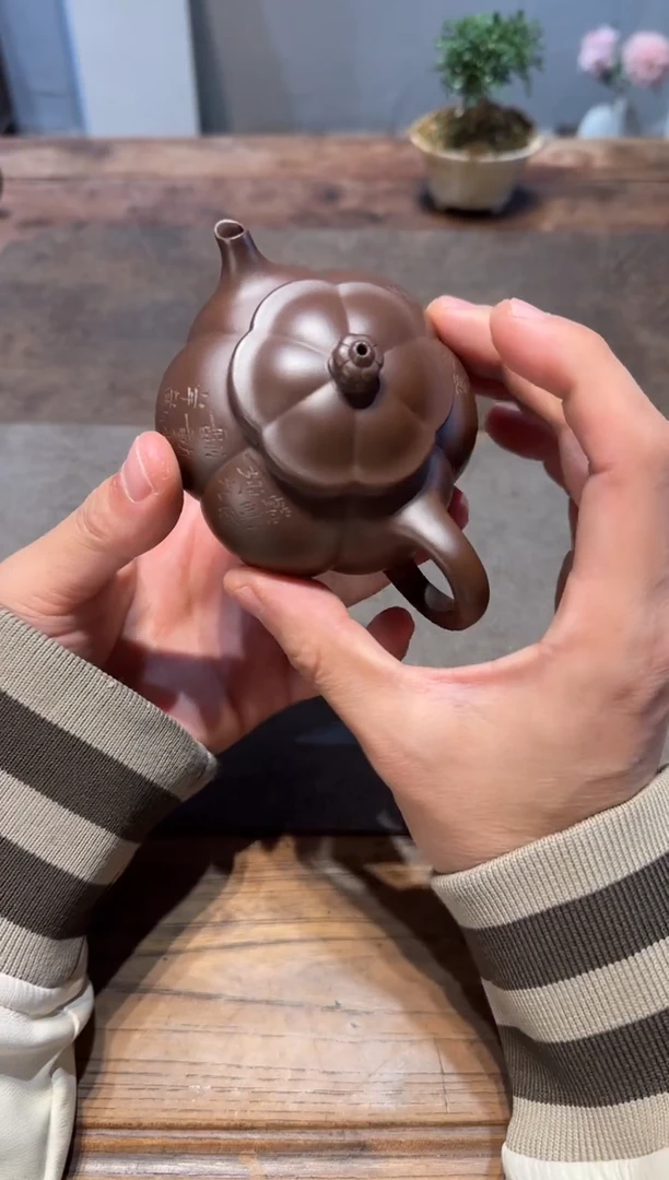 茶壶紫砂王*国大鱼海棠