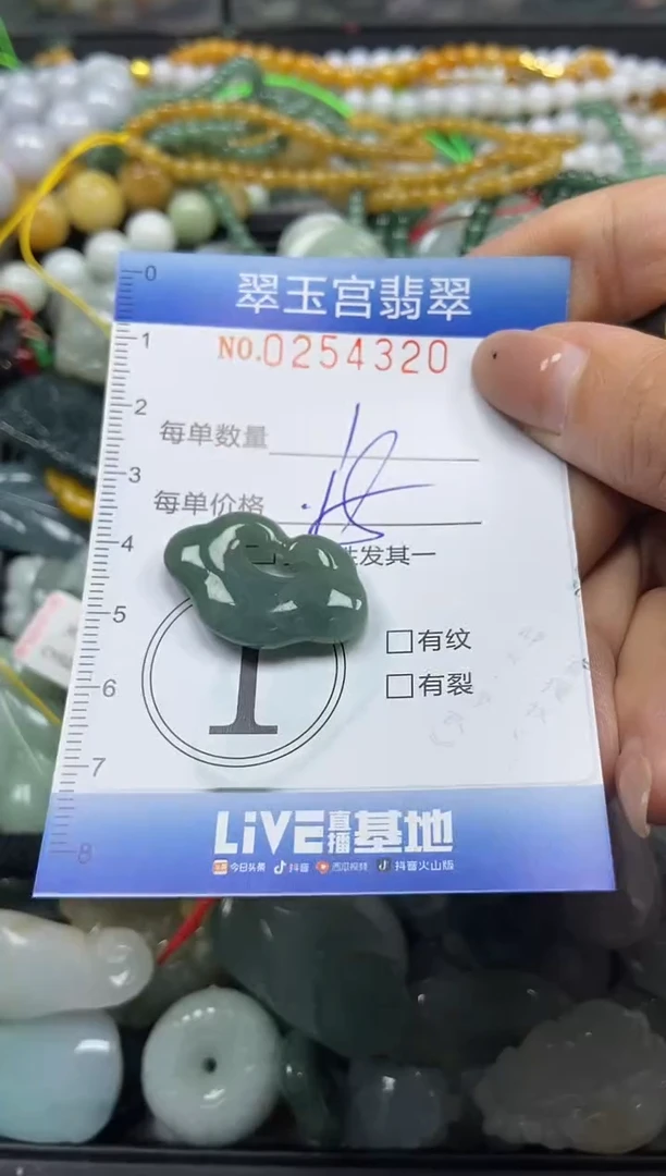 颈饰未镶嵌翡翠闪购C0254320
