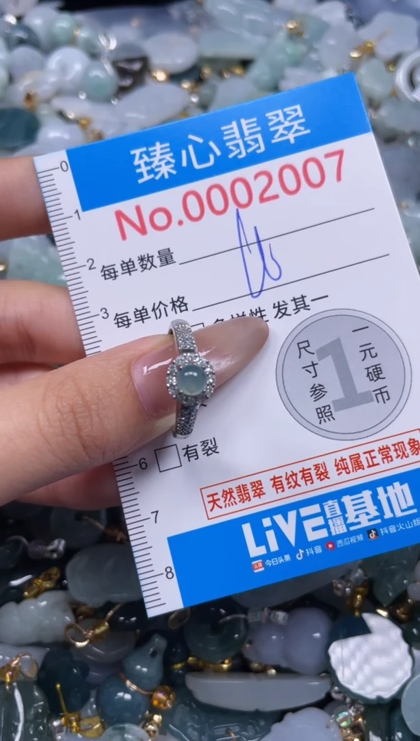 颈饰未镶嵌翡翠2007