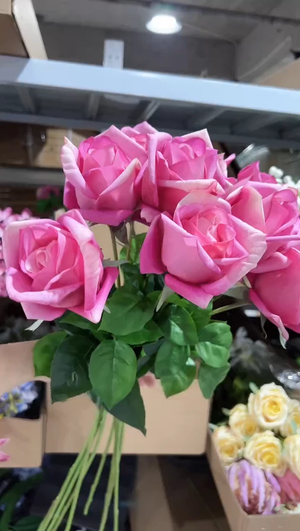 10枝玫粉手感保湿双子座