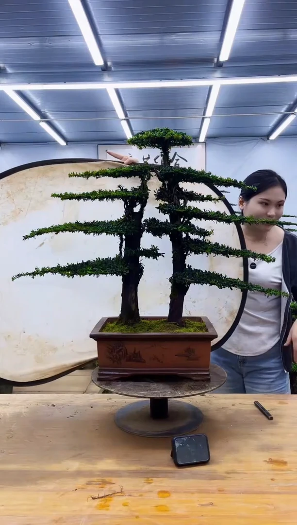 无花朵一物一拍，所见即所得