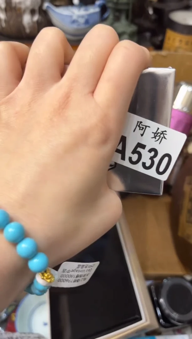 【闪购商品】瓷片530 向往的《生活》 向往的《生活》