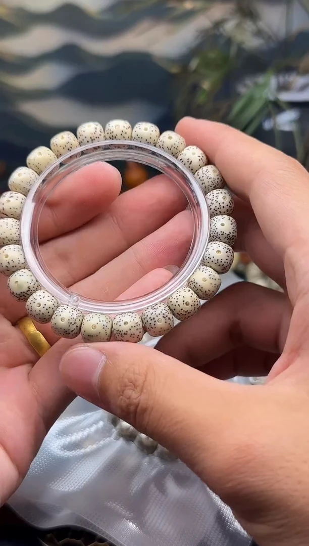 星月菩提手串糯冰 同枝果10*9