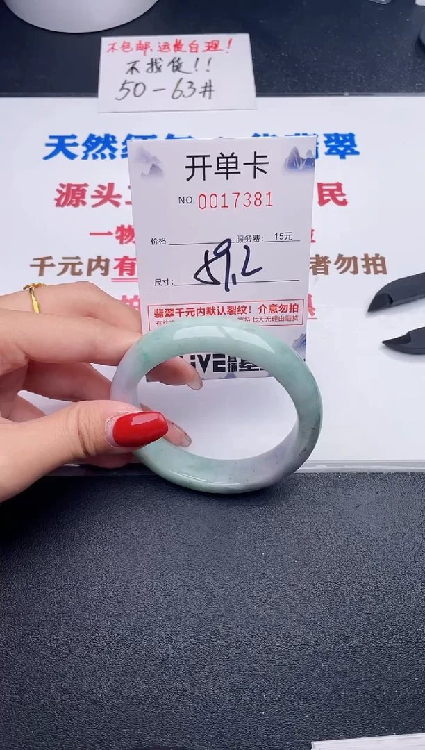 未镶嵌手镯翡翠81