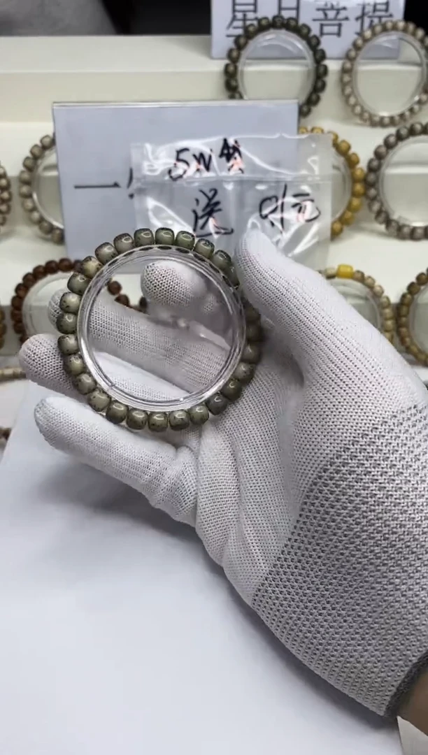 手串星月菩提 304 --24