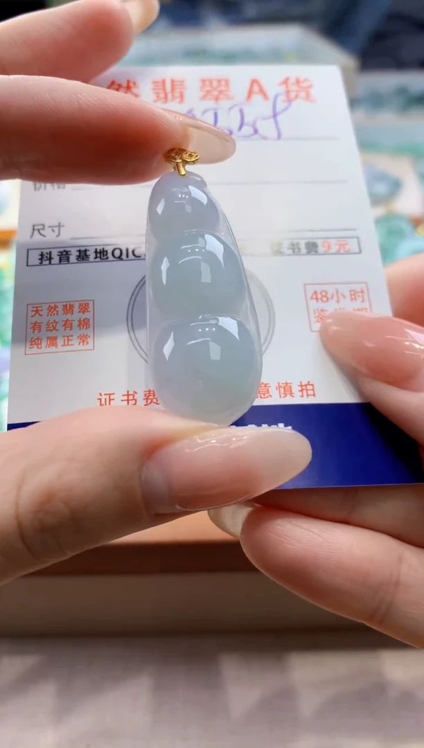 颈饰未镶嵌翡翠天然翡翠挂件