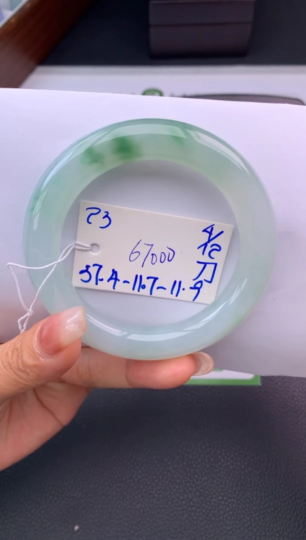 未镶嵌手镯翡翠假一赔三   手镯