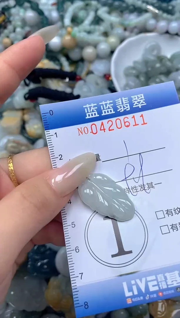 颈饰未镶嵌翡翠闪购0420611