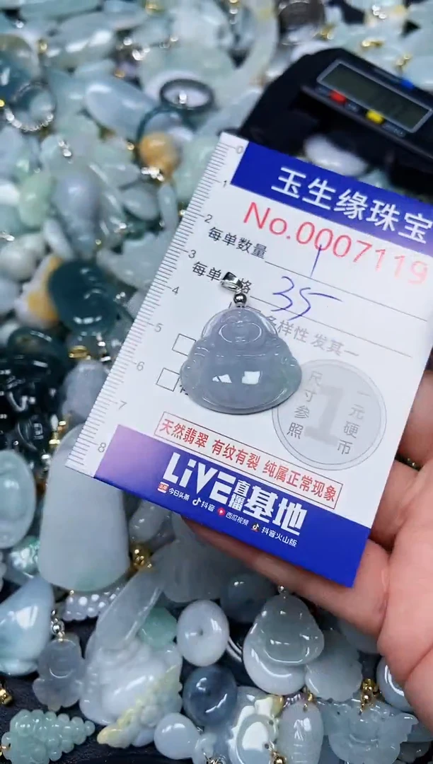 【闪购商品】翡翠颈饰未镶嵌闪购00007119