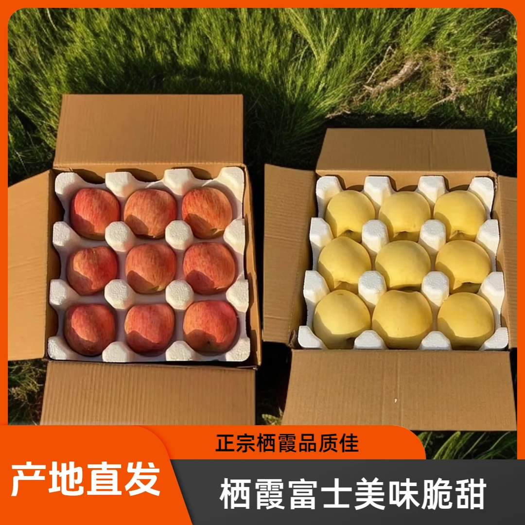 正宗烟台栖霞苹果!手选高端果王,营养,健康,好吃,漂亮!发顺丰快递