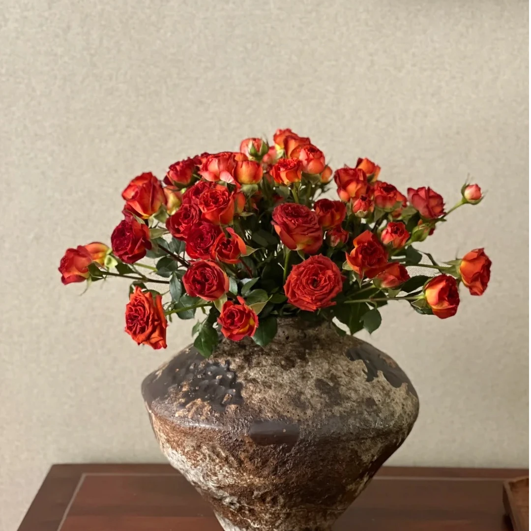 【巧克力泡泡】复古色系多头玫瑰鲜花花束云南基地直发 家用水养花