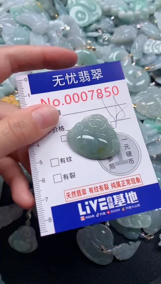 颈饰未镶嵌翡翠7850