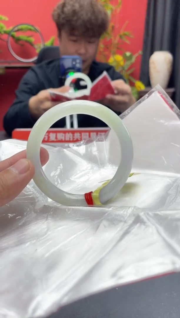 未镶嵌手镯翡翠12