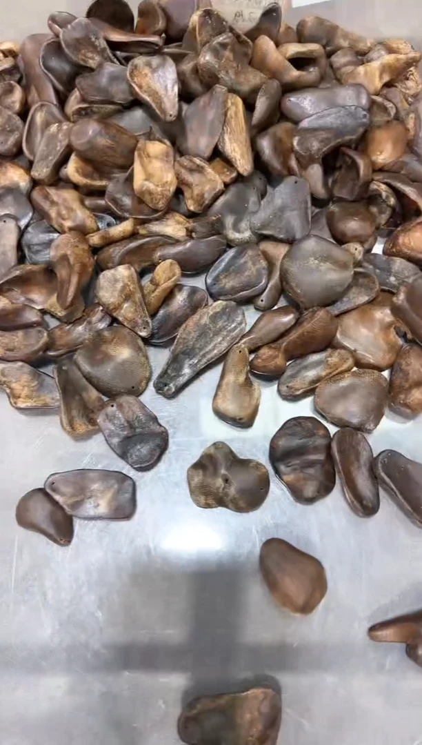 沉香吊坠6号芽庄红油包头多样性发一