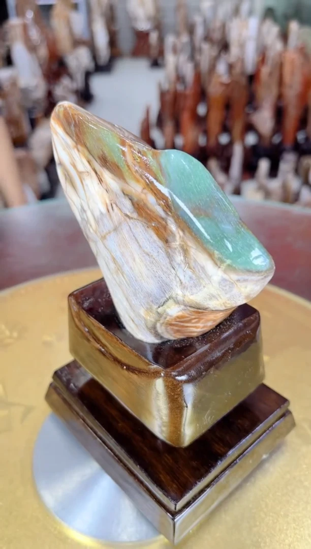 【闪购商品】硅化玉珠宝奇石未镶嵌缅甸天然树化玉