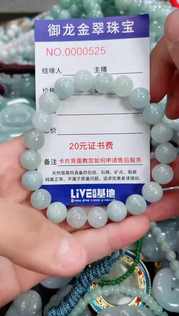 翡翠未镶嵌颈饰033