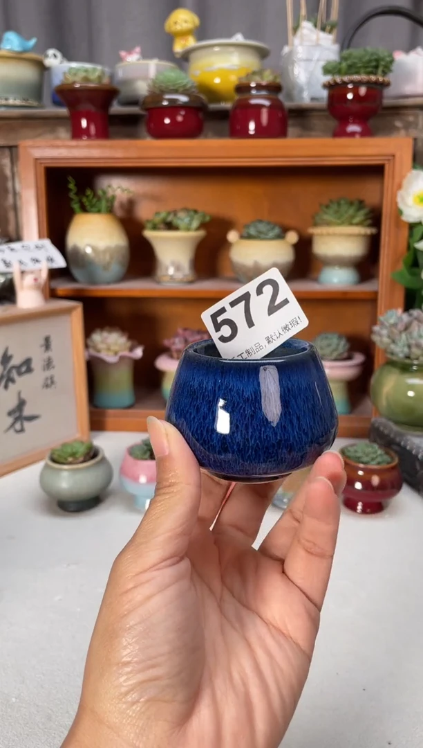 瓷片572小芳直播编号