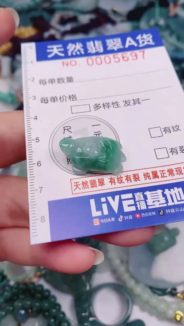 颈饰未镶嵌翡翠00005697
