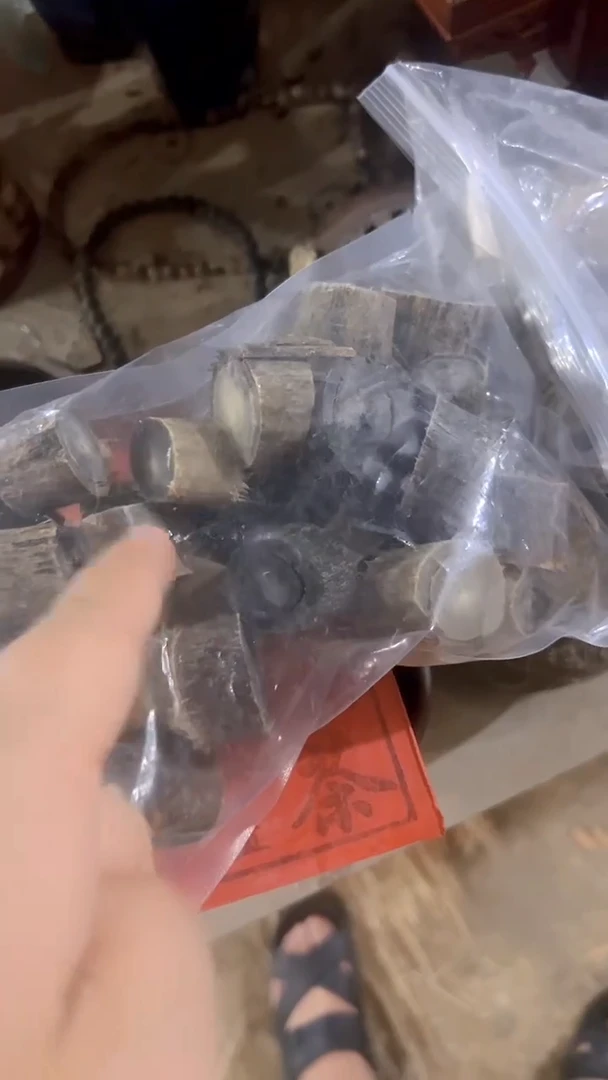 紫砂紫砂紫砂紫砂