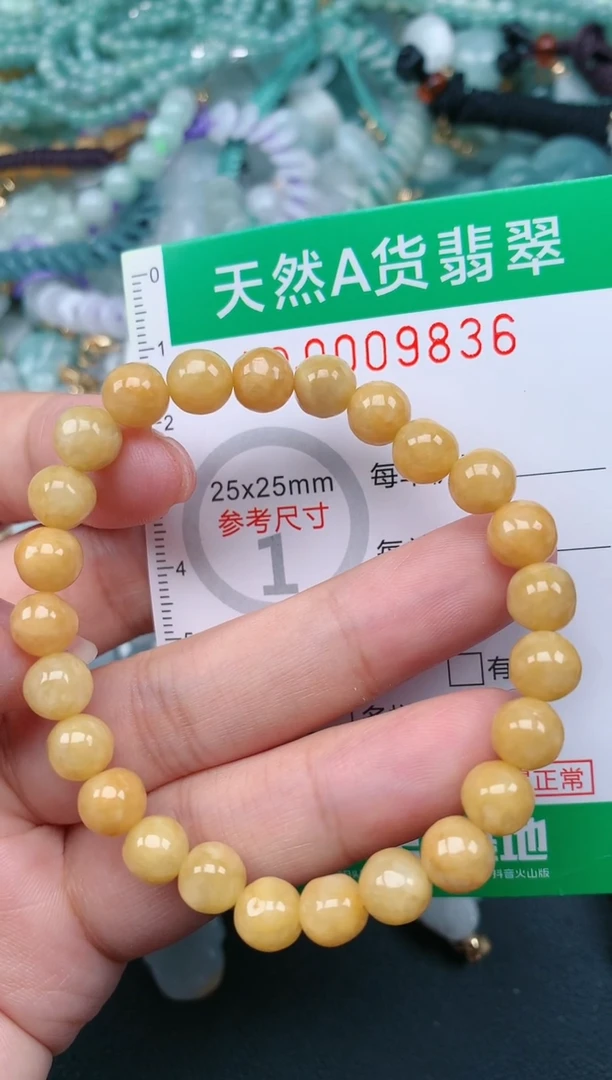 翡翠未镶嵌颈饰.0009836