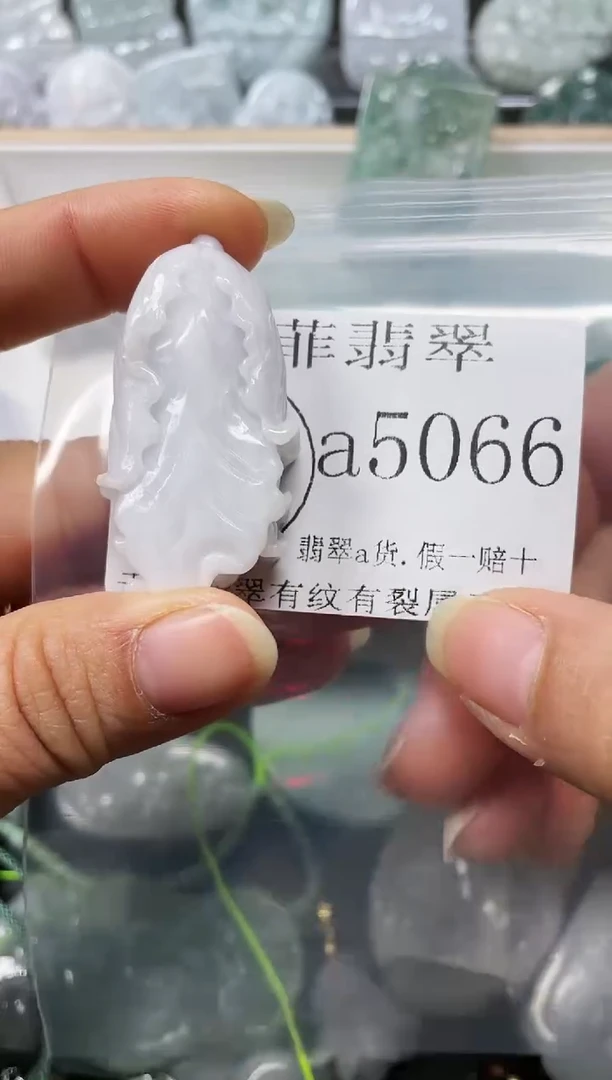 【闪购商品】翡翠颈饰未镶嵌闪购5066