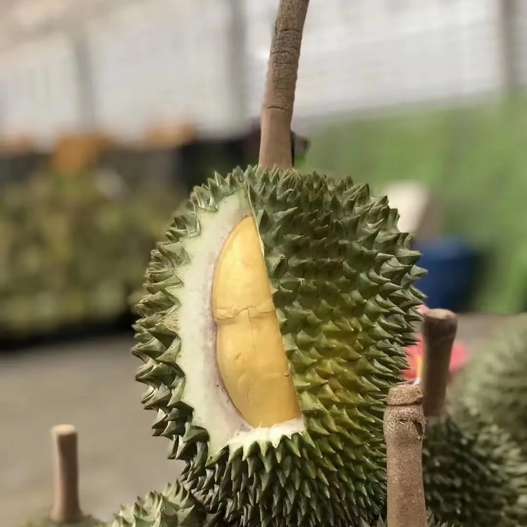 【五一大放价】托曼尼顺丰包邮季节限定泰国托曼尼鲜榴莲核大 3-6斤新鲜托曼尼泰国