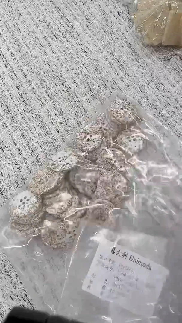 无纺布5颗28mm意大利贝壳碎片扣