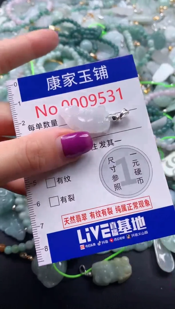 颈饰未镶嵌翡翠9531