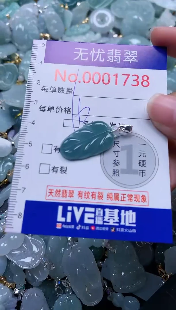 颈饰未镶嵌翡翠1738