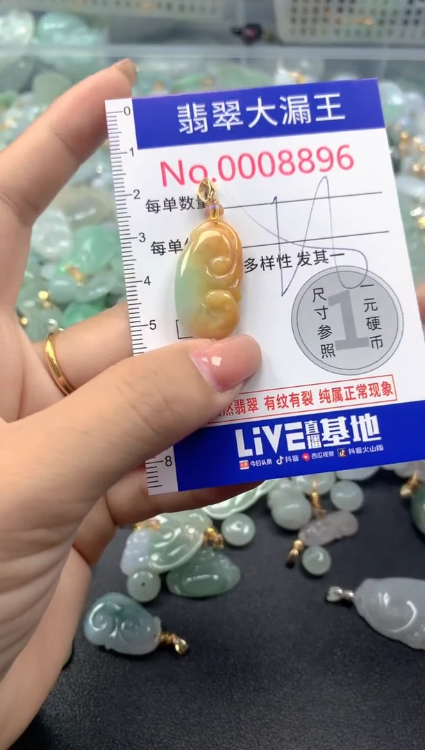 颈饰未镶嵌翡翠8896
