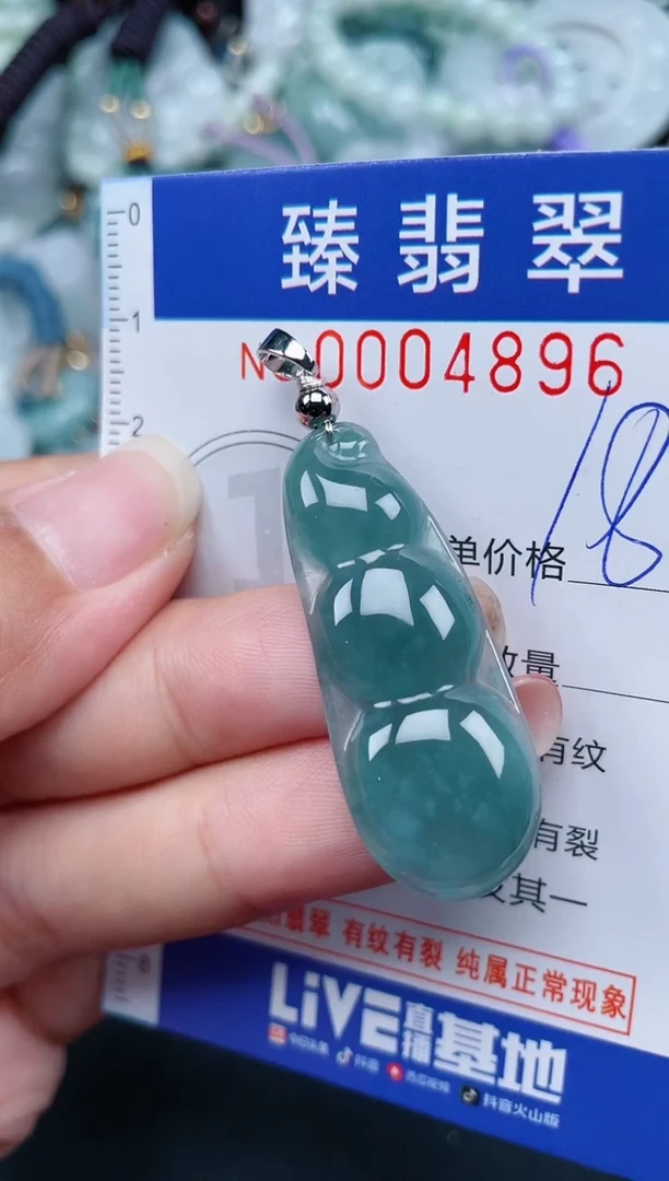 翡翠未镶嵌颈饰.0004896