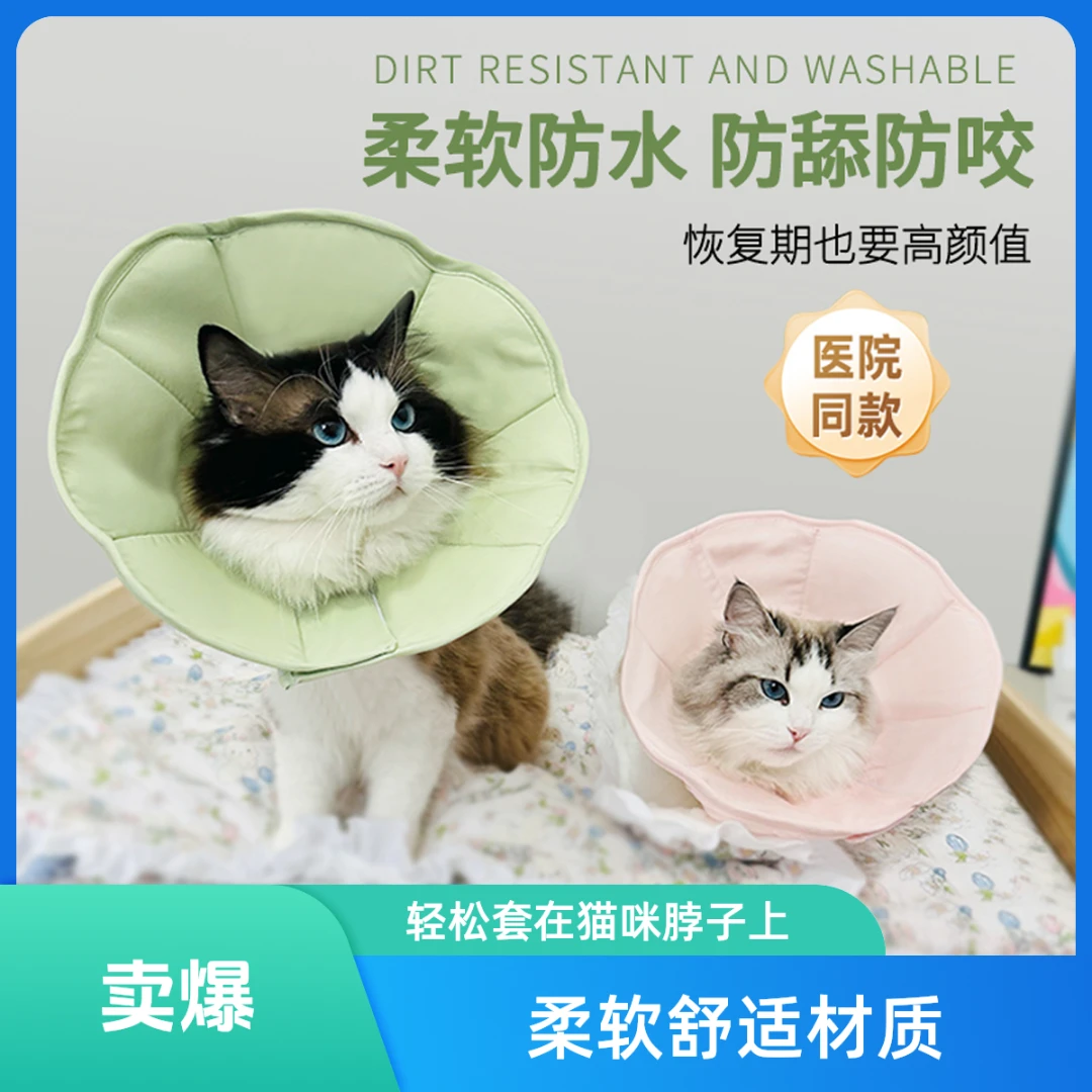 绝育防舔防抓挠防水不掉不勒更舒适伊丽莎白圈猫脖圈可调大小头套