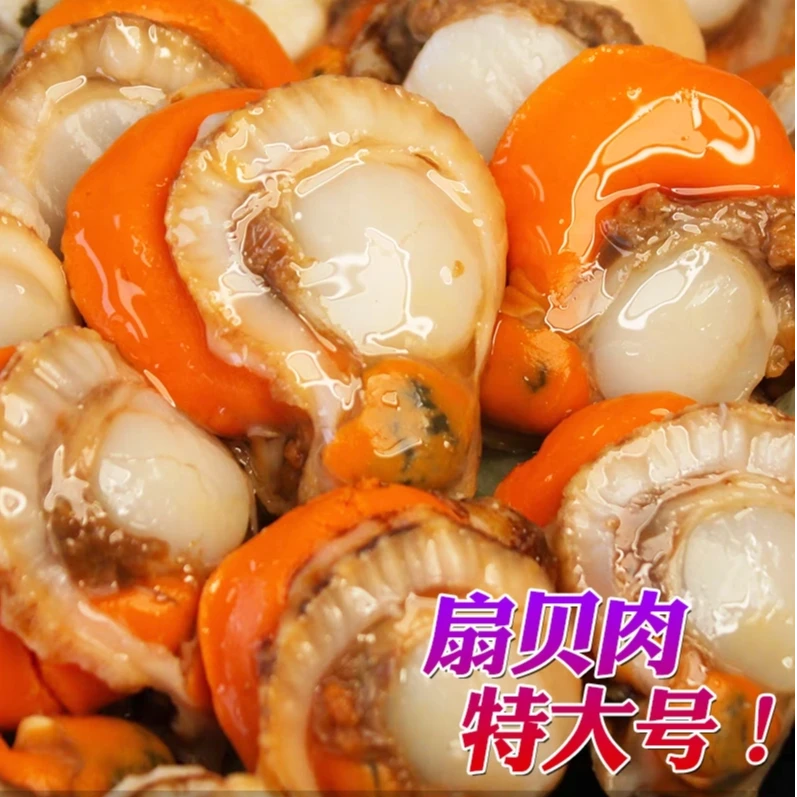 到手6大包特大号扇贝肉新鲜现剥带黄带膏400g/包保证新鲜顺丰速运