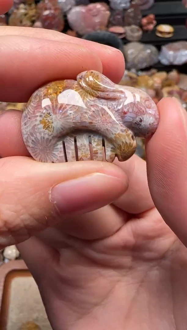 颈饰未镶嵌硅化珊瑚（珊瑚玉）362