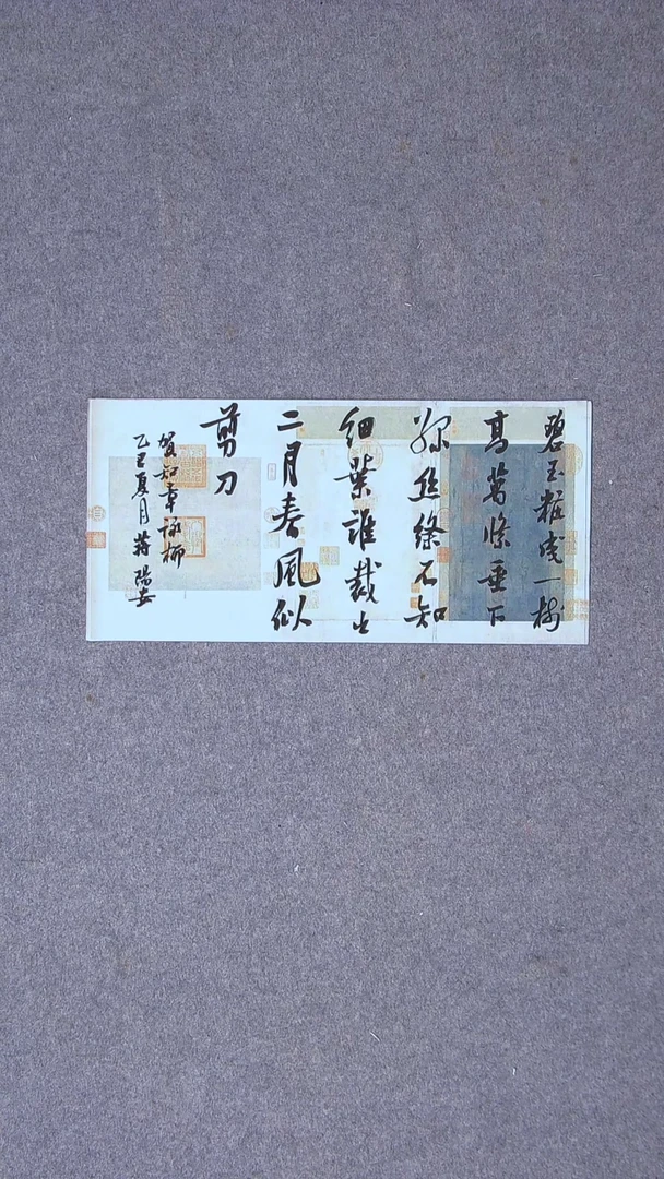 书法蒋阳安 陕西西安46*23尺寸