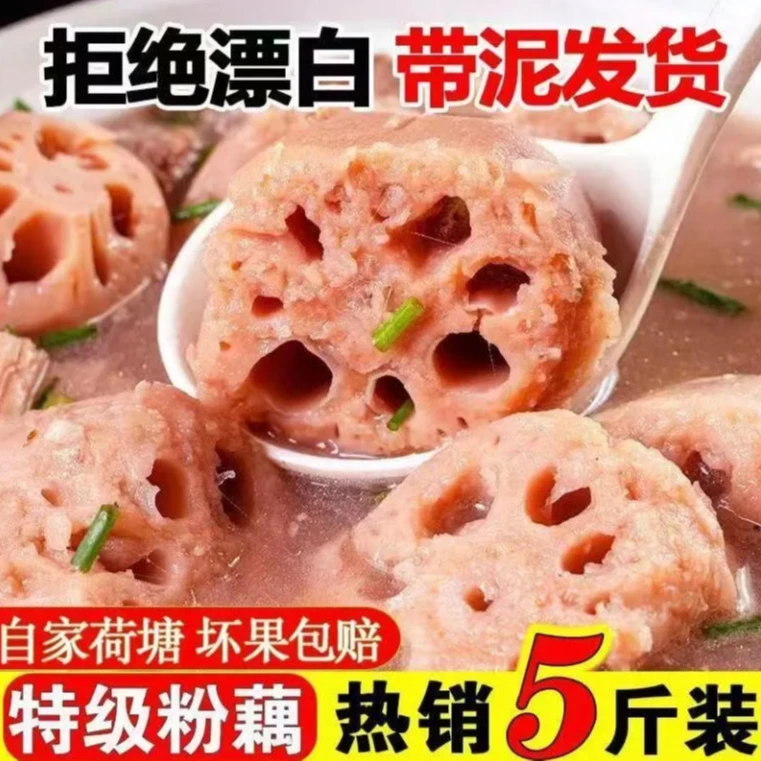 正宗湖北煲汤粉藕丰收季青泥巴面藕现挖现发3斤/5斤