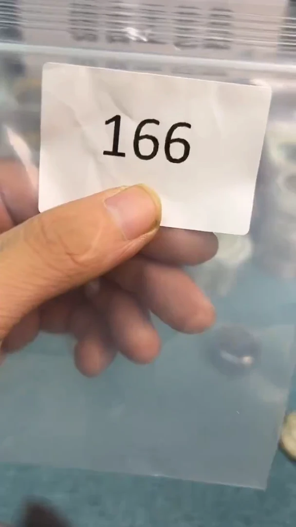 直播间代拍秒付链接编号166