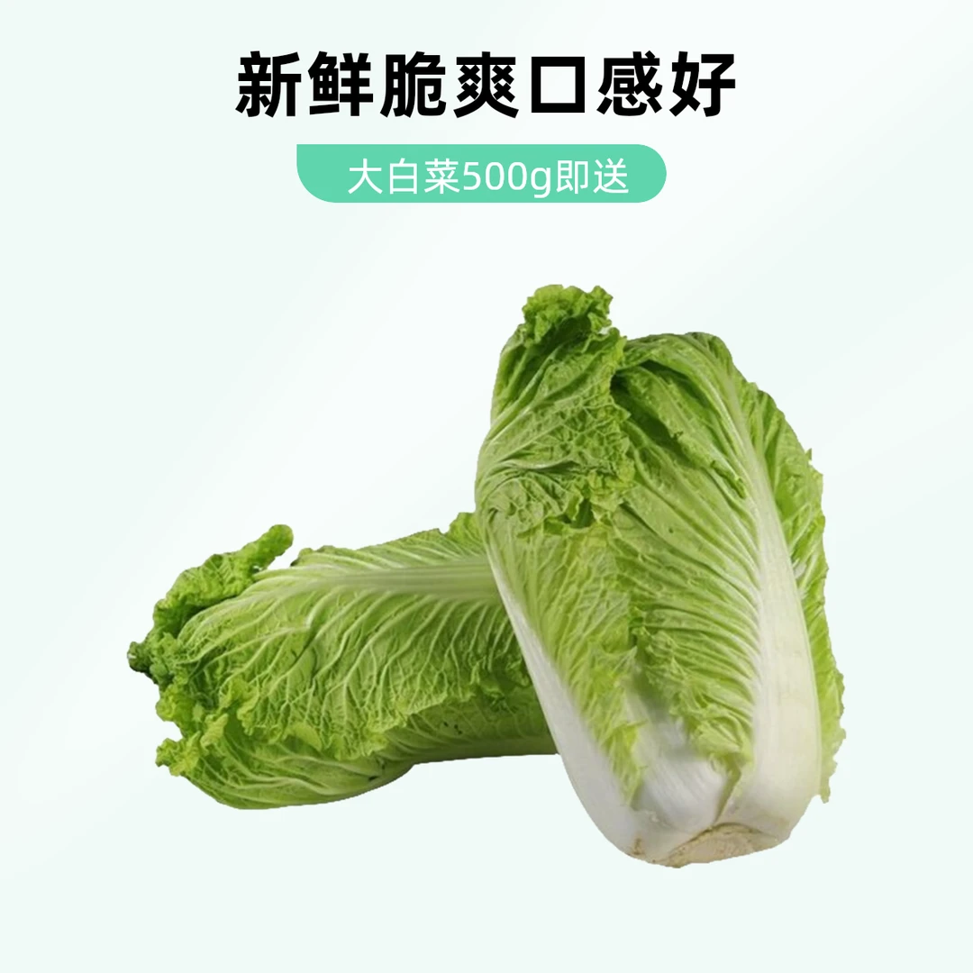 大白菜  约1.4kg白菜