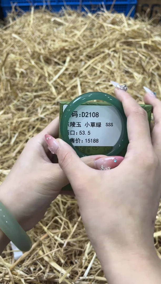 未镶嵌手镯石英质玉D2108