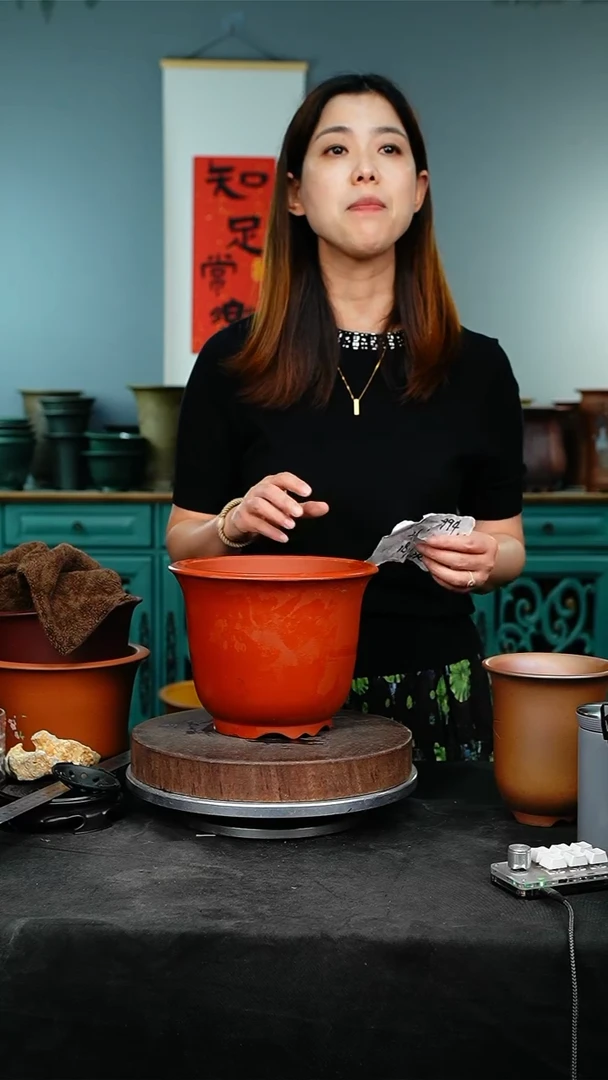 紫砂花盆花卉园艺2994