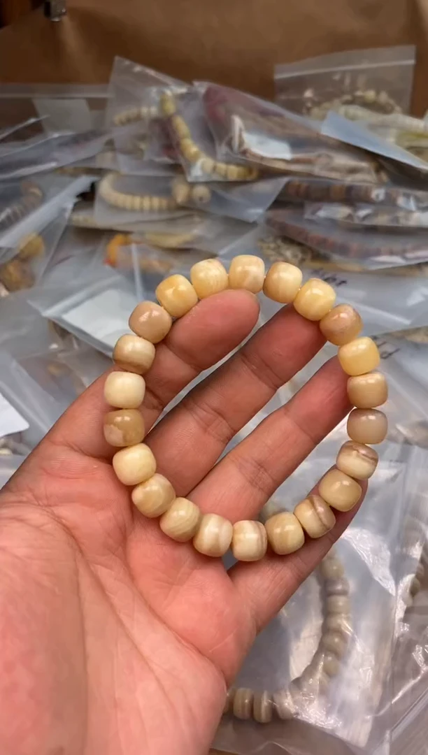 其他驼骨驼骨定向V181