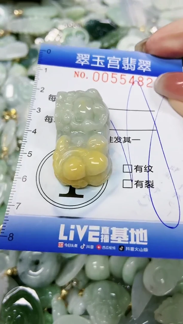 【闪购商品】翡翠颈饰未镶嵌闪购0055482