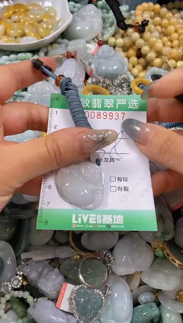 【闪购商品】翡翠颈饰未镶嵌闪购0089937