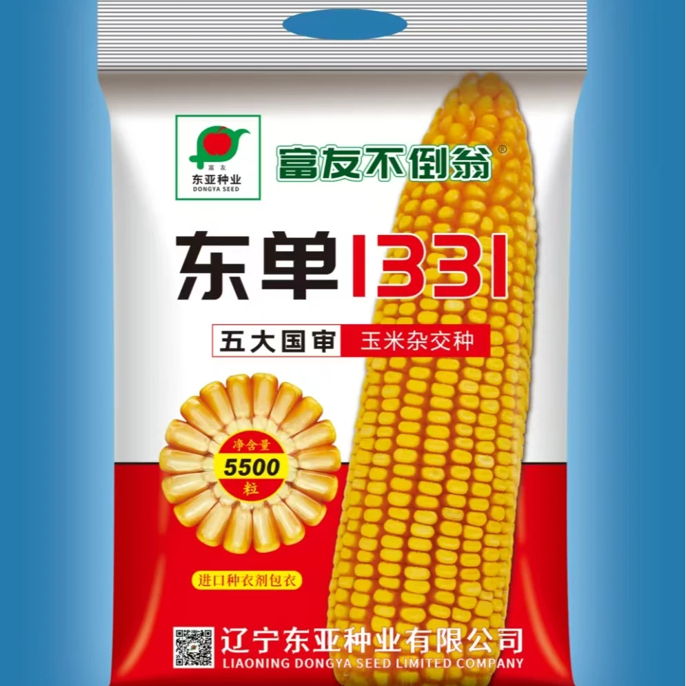 东单1331玉米种五大国审大棒抗倒买十袋赠送叶面肥一瓶