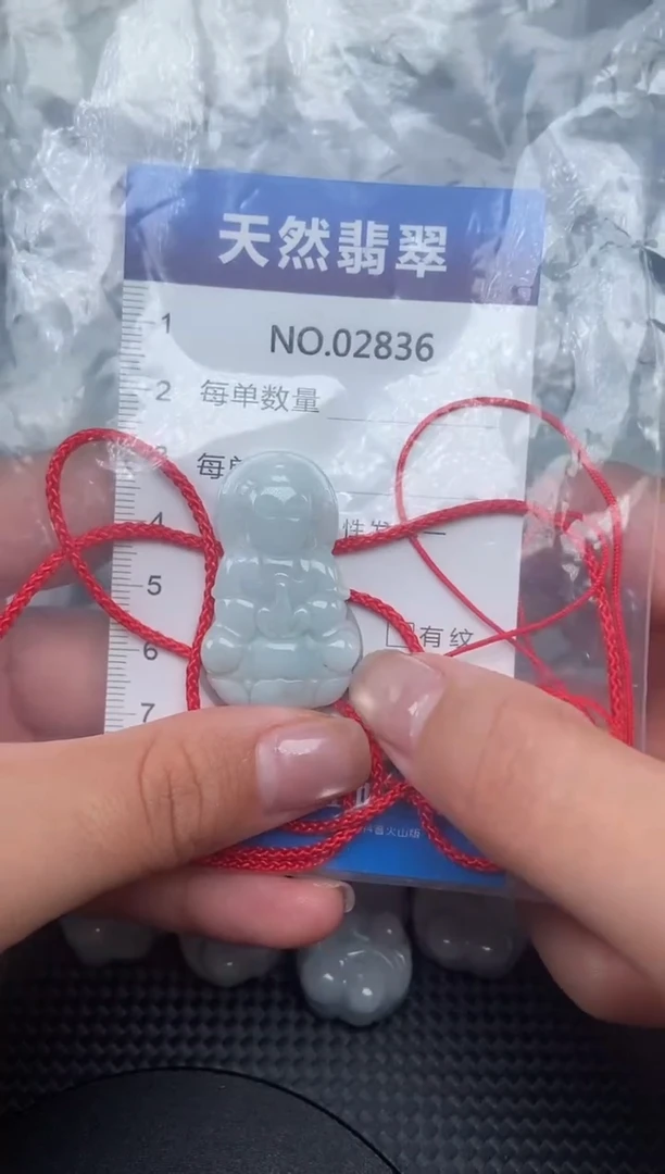 颈饰未镶嵌翡翠纯天然A货翡翠2836