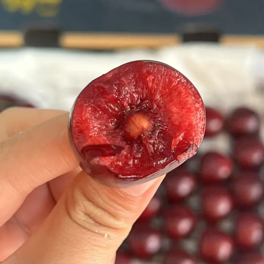 （炸街款）汉源高山车厘子一斤装，JJJ,24mm黑珍珠四川省