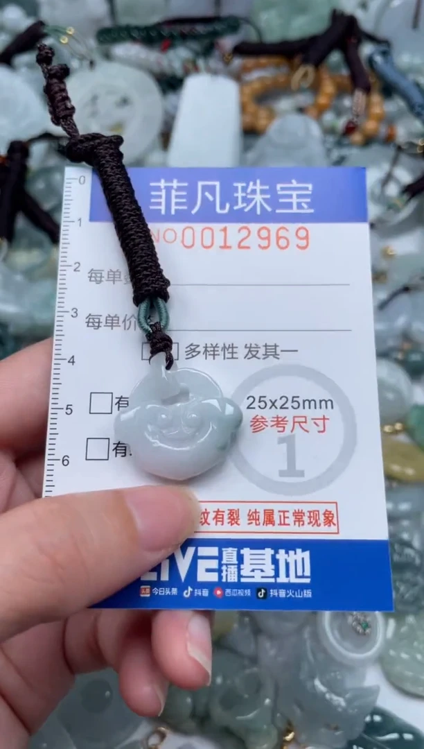 颈饰未镶嵌翡翠12969
