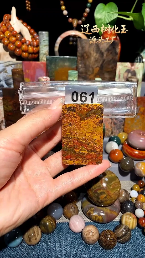 未镶嵌-硅化玉天然北票硅化玉吊坠