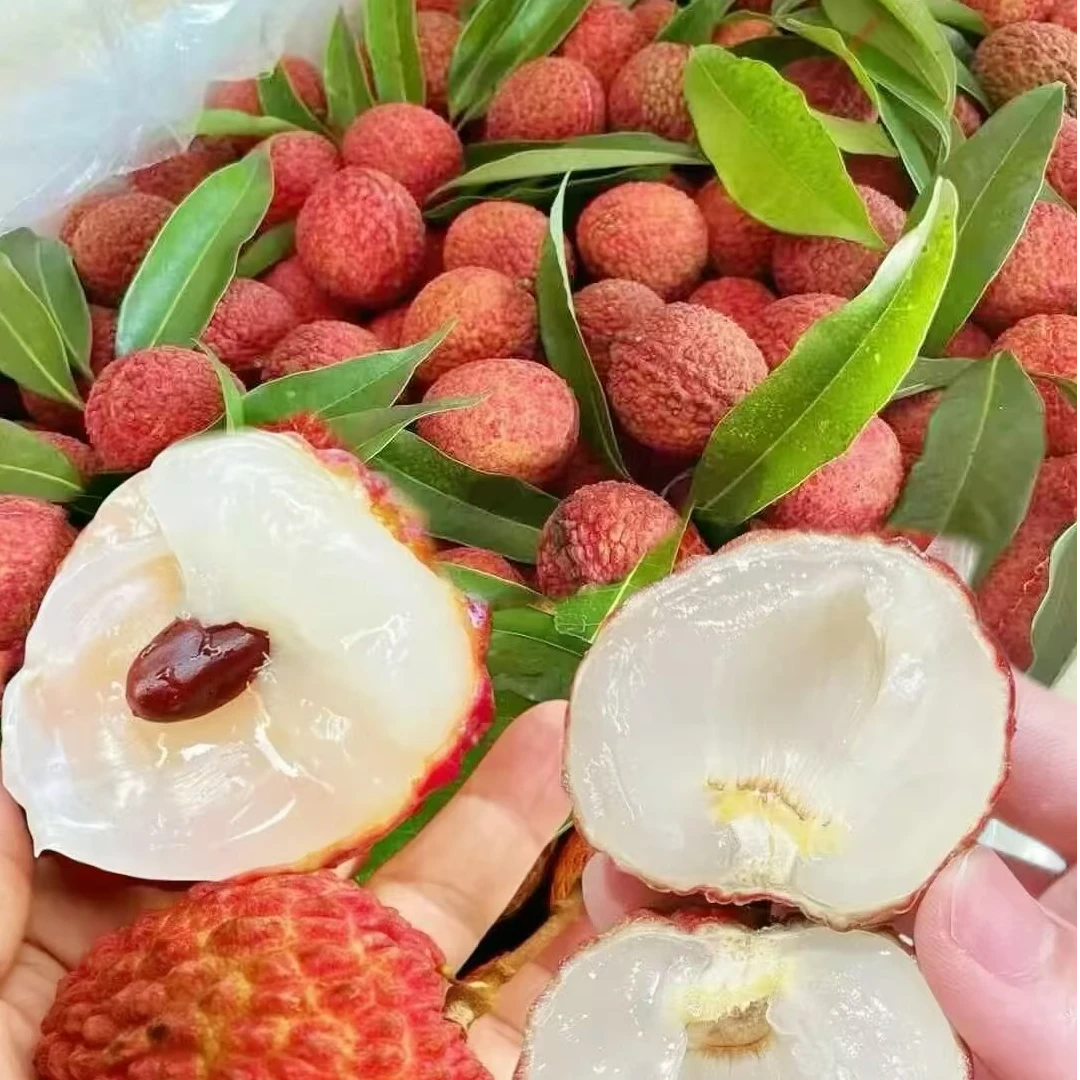 【买三斤送两斤】茂名高州妃子笑荔枝老树现摘香甜饱满肉厚核小【内】