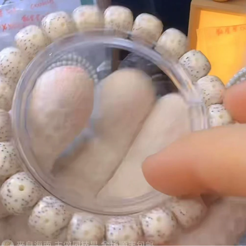 海南星月菩提同枝果10*11